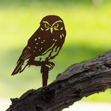 Southern Boobook Owl Metal Bird Australia