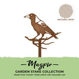 Australian Magpie Garden Stake Steel Decor